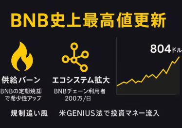BNB史上最高値更新 ─ 供給バーン・エコシステム拡大・規制追い風が重なり804ドル到達を示すバイナンス風インフォグラフィック